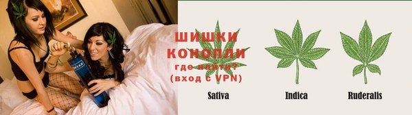 дмт Медногорск