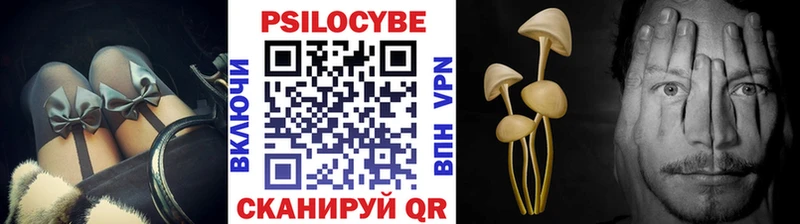 где купить   Разумное  Псилоцибиновые грибы мицелий 